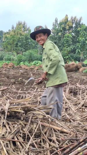 Dari Kebun ke Energi: Hilirisasi Jadi Kunci Kemandirian Nasional