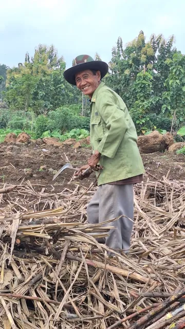 Dari Kebun ke Energi: Hilirisasi Jadi Kunci Kemandirian Nasional