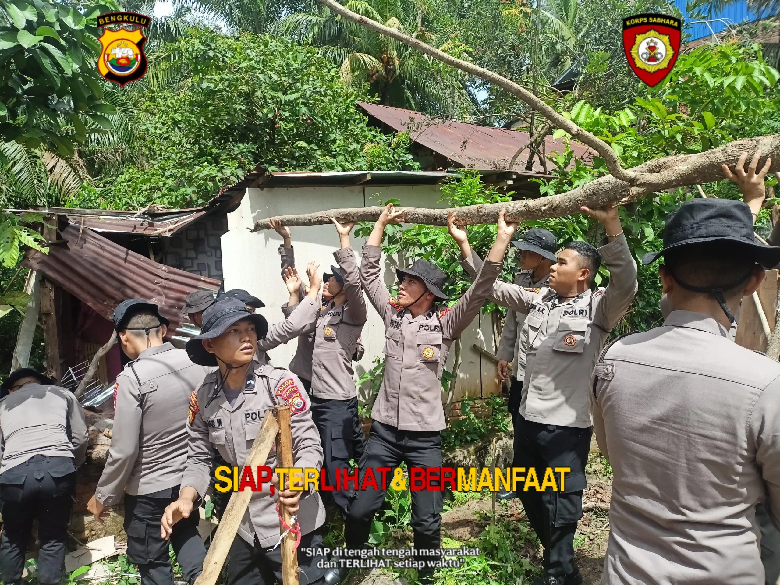 Pohon Tumbang di Sumur Dewa, Ditsamapta Bengkulu Bertindak Cepat
