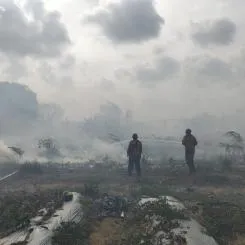 [UPDATE] - Gempa M4,7 Flores Timur, Lima Desa Terdampak